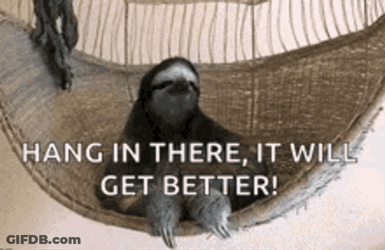 Hang In There In Hammock Chill Sloth GIF