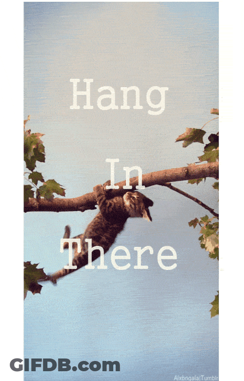 Hang In There Mischievous Cat GIF