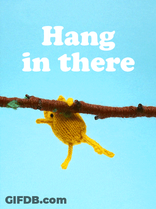 Hang In There Stop Motion Cat GIF