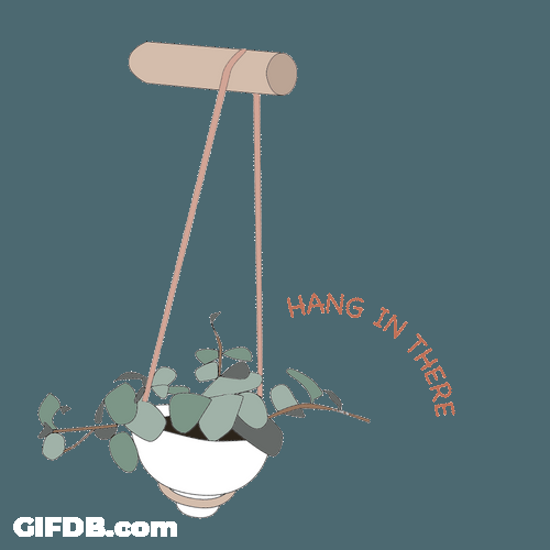 Hang In There Swinging Plant Vase GIF