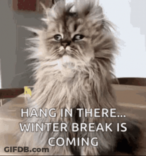 Hang In There Winter Is Coming GIF