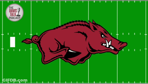 Hang Talk Podcast Ad With Boar On Football Field GIF