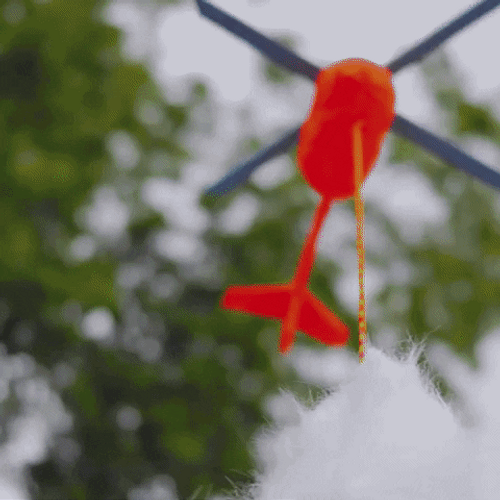 Hanging Cat Hang In There Baby GIF