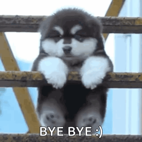 Hanging Puppy Byeeee GIF