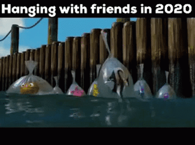 Hanging With Friends In 2020 Covid Meme GIF