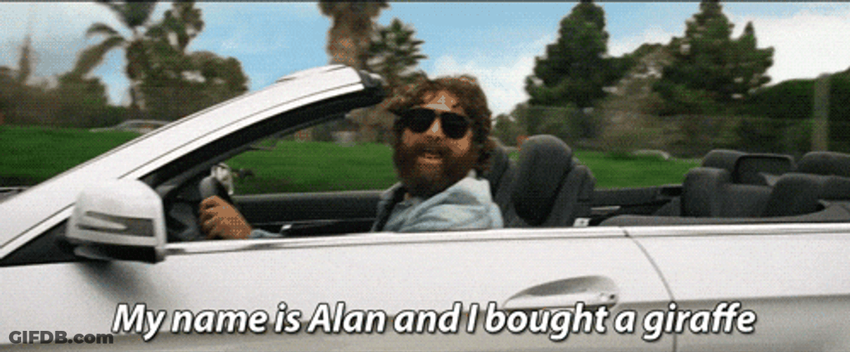 Hangover Alan Bought Giraffe For Mr Chow GIF