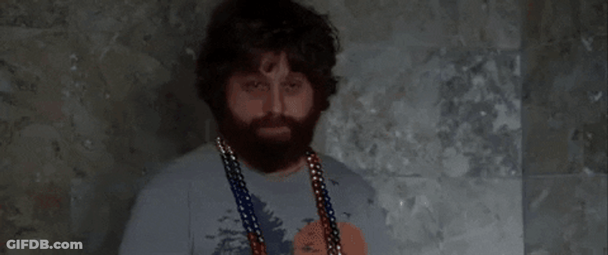 Hangover Alan Stupid Tiger Of Mr Chow GIF