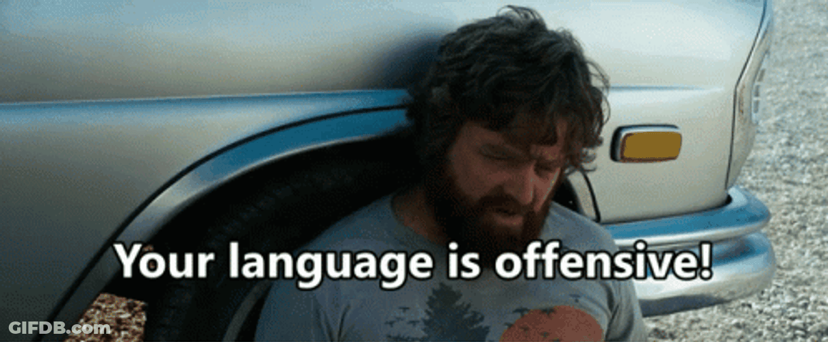 Hangover Your Language Is Offensive GIF