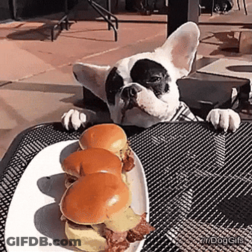 Hangry Bully Reaching For Burger GIF