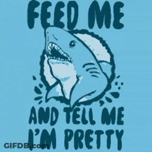 Hangry Feed Me Grumpy Shark GIF