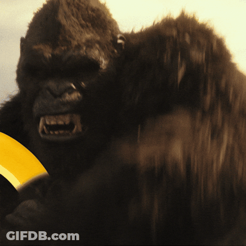 Hangry Grumpy Gorilla Going Ballistic GIF