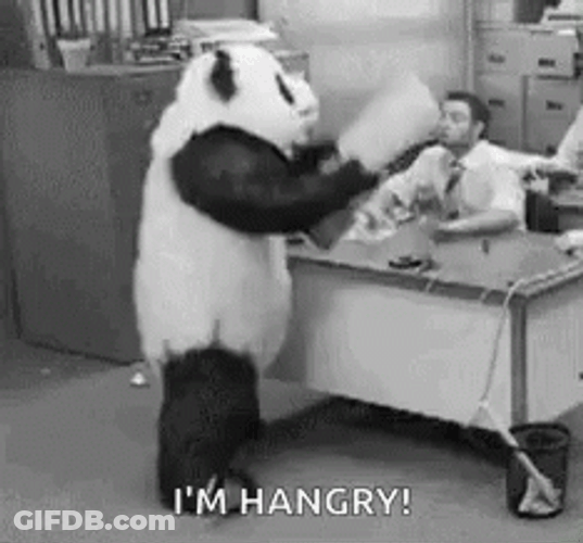 Hangry Panda Flipping Out GIF