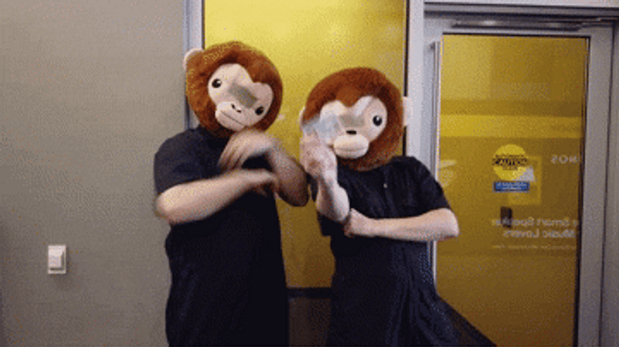 Happy 16Th Birthday Monkey Heads Driver's License GIF