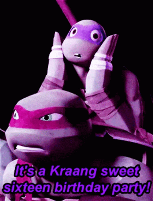 Happy 16Th Birthday Teenage Mutant Ninja Turtles GIF