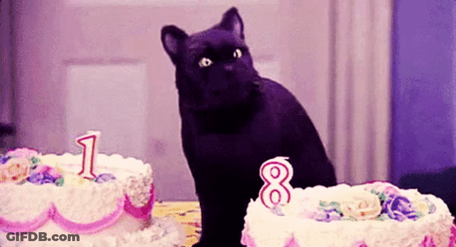 Happy 18Th Birthday Cat GIF