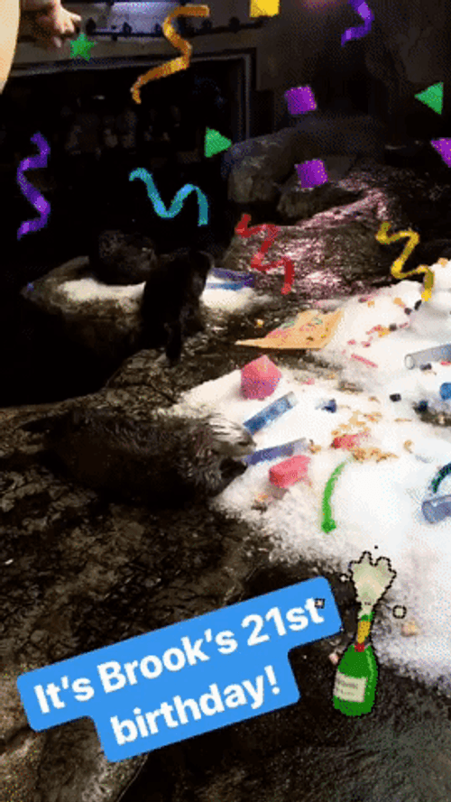 Happy 21St Birthday Squirrel Party GIF