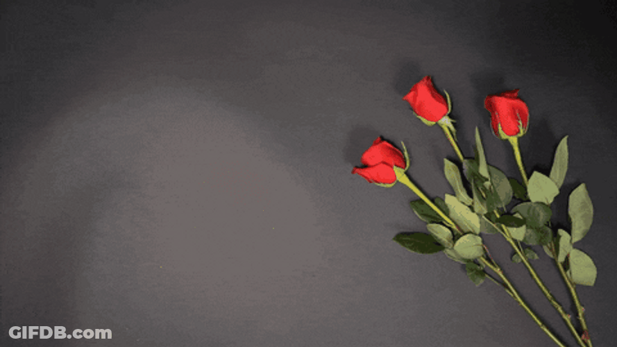 Happy 25Th Anniversary Red Roses GIF