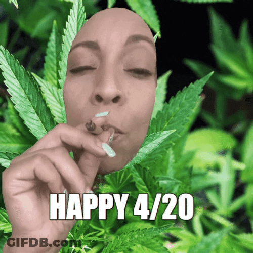 Happy 420 GIF