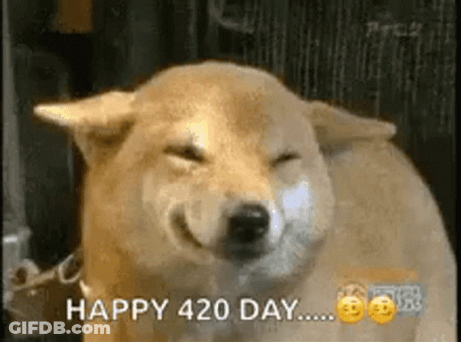 Happy 420 GIF