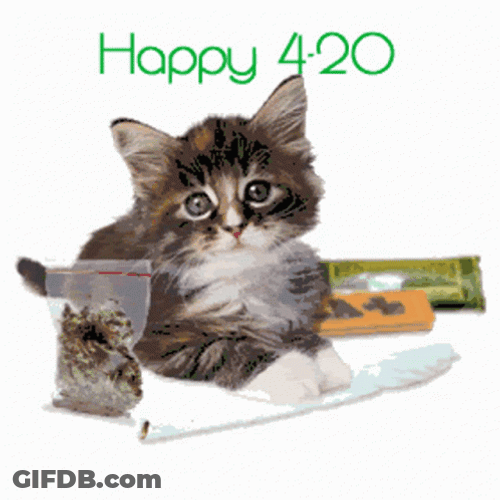 Happy 420 GIF