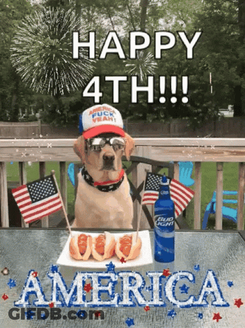 Happy 4Th American Dog GIF