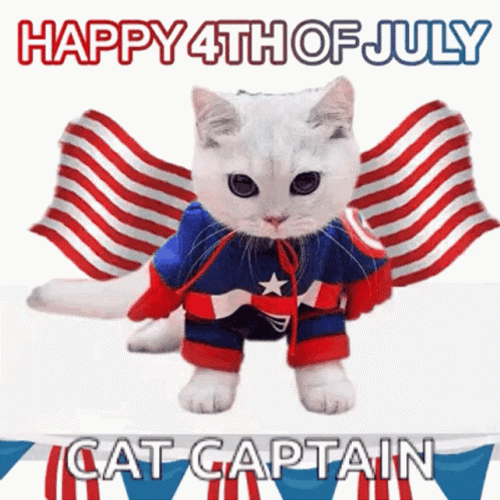 Happy 4Th Cat Captain Flag Cape GIF