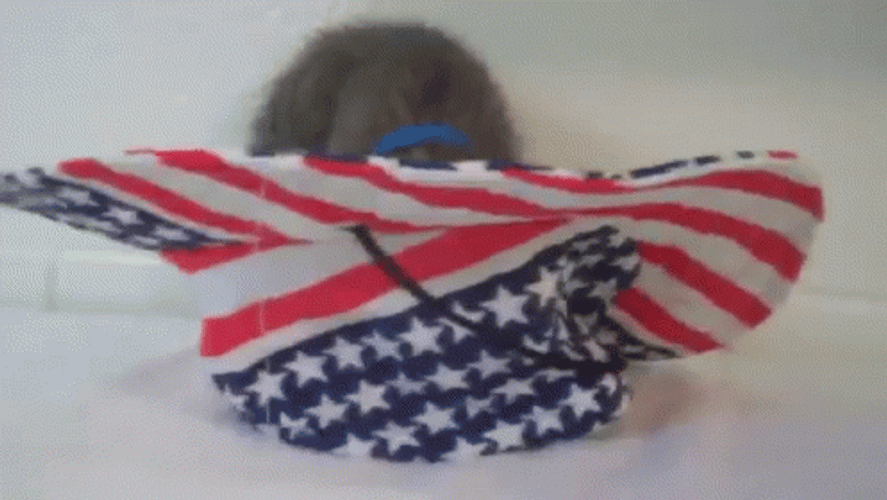 Happy 4Th Cat Flipped Over American Hat GIF
