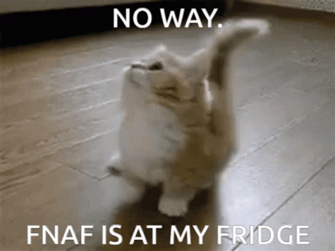 Happy 4Th Excited Fluffy Cat FNAF Meme GIF