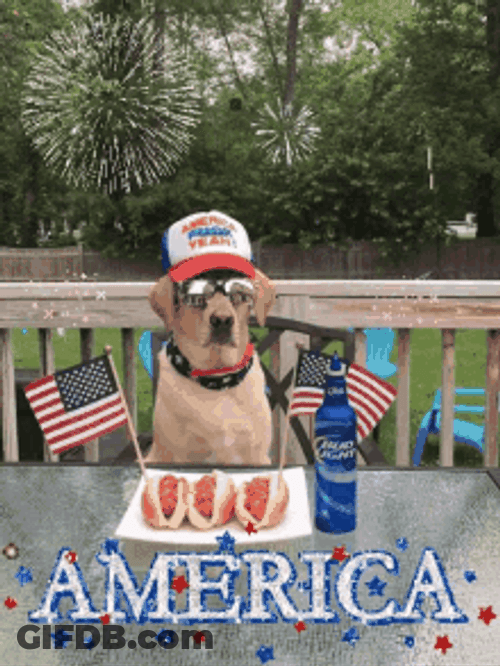 Happy 4Th Of July American Pride Cute Dog Celebration GIF