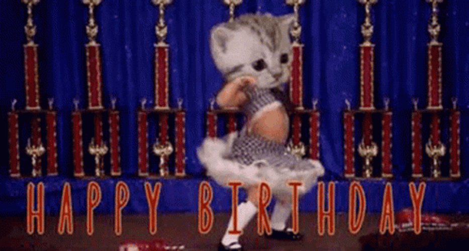 Happy 4Th Of July Birthday Kitty GIF