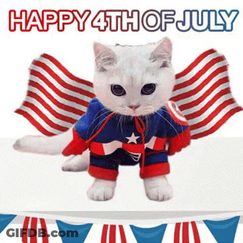 Happy 4Th Of July Cute American Cat Flag Cape GIF