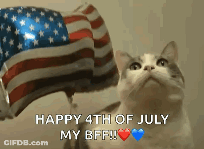 Happy 4Th Patriotic Cat George Washington Meme GIF