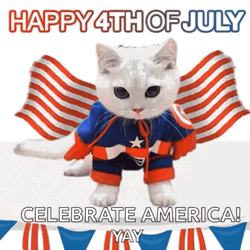 Happy 4Th Super Hero Cat Flags Waving GIF