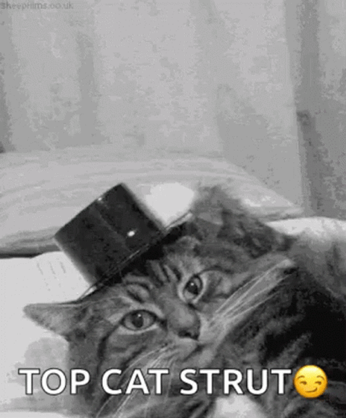 Happy 4Th Top Cat Strut Meme GIF