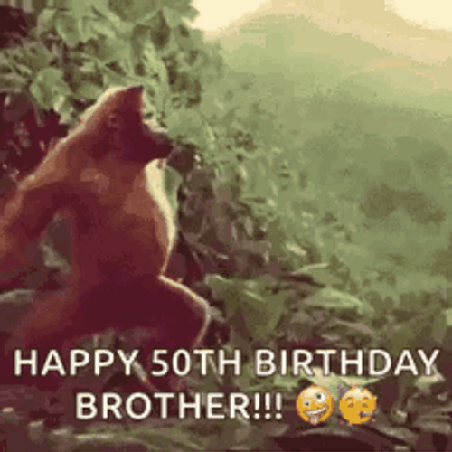 Happy 50Th Birthday Brother Orangutan Dancing GIF