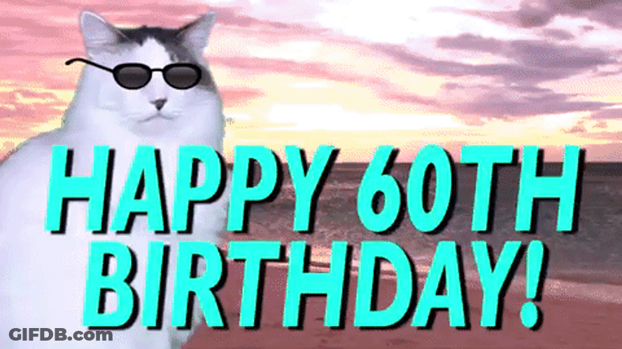 Happy 60Th Birthday Cat In Disco Ball GIF