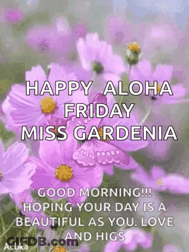 Happy Aloha Friday Miss Gardenia Good Morning !! Hoping Your Day Is A Beautiful As You Love And Higgs GIF