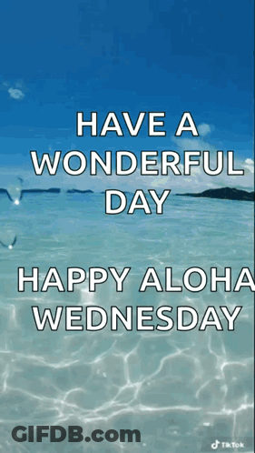Happy Aloha Wednesday Ocean Background GIF