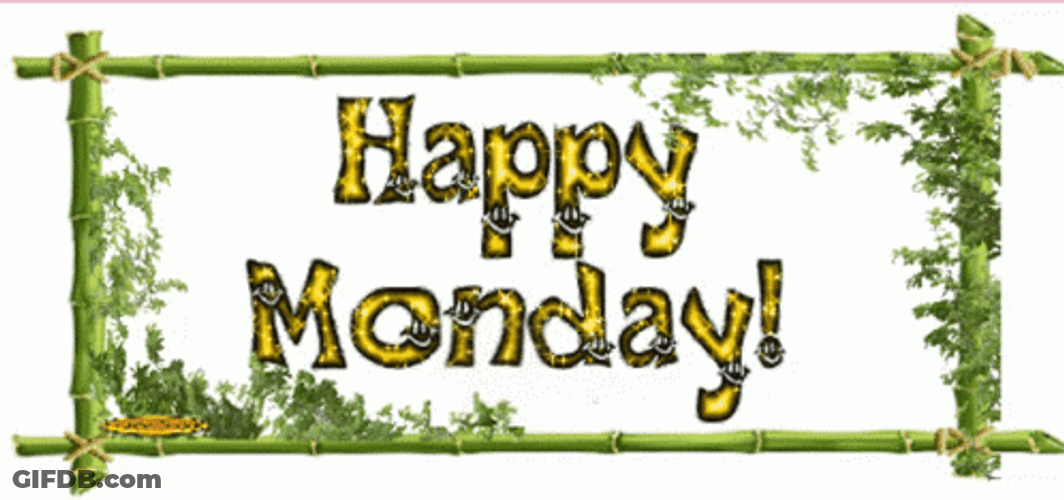 Happy And Hello Monday GIF