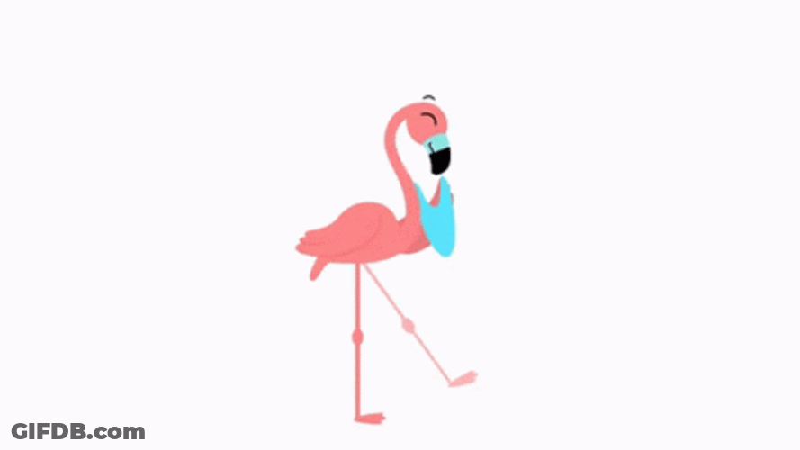 Happy Animated Flamingo GIF