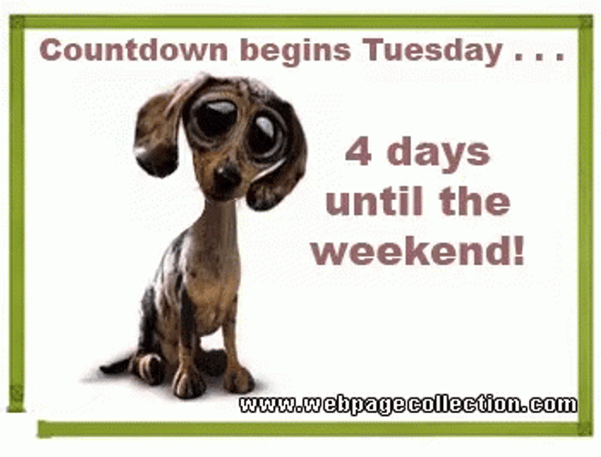 Happy Animated Tuesday Pity Dog GIF