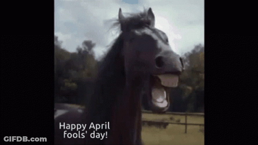 Happy April Fools Day Horse GIF
