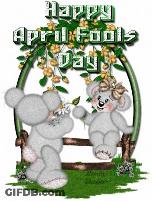 Happy April Fools Day Koalas GIF