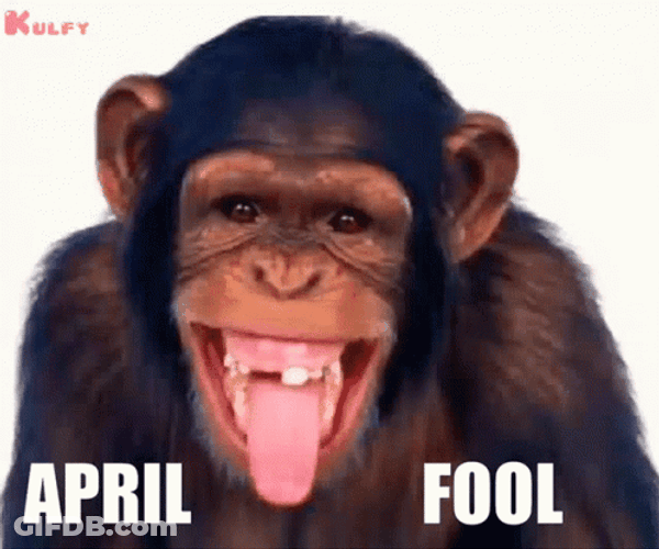 Happy April Fools Day Monkey Pulling Its Cheeks GIF