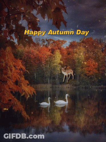 Happy Autumn Day Card With Swans And Deer GIF
