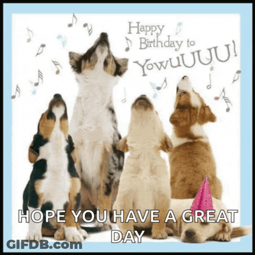 Happy B Meme GIF