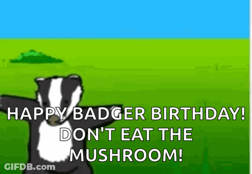 Happy Badger Birthday Don't Eat The Mushroom Dancing Badger GIF