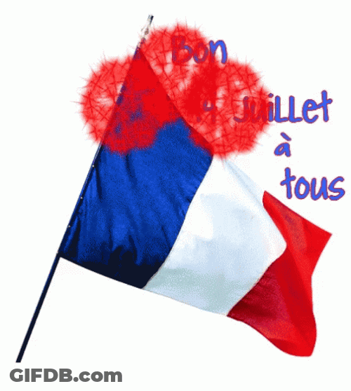 Happy Bastille Day Fireworks And Flag Animation GIF