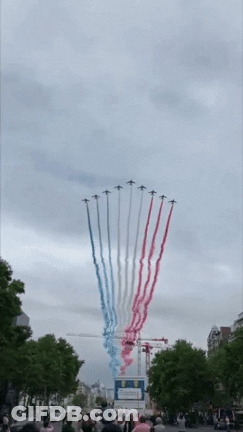 Happy Bastille Day French Air Force Flag Colors GIF