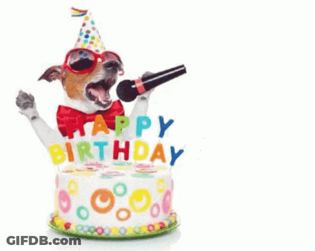 Happy Bday GIF